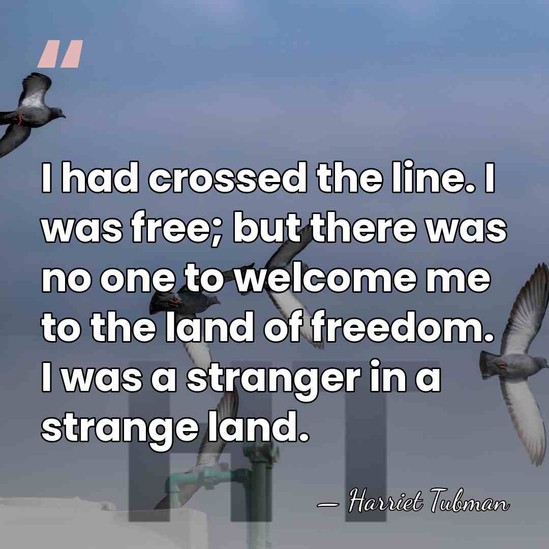 I had crossed the line. I was free; but there was no&hellip; - Harriet Tubman