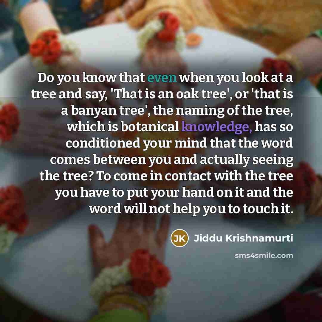 “Do you know that even when you look at a…” quote by Jiddu Krishnamurti