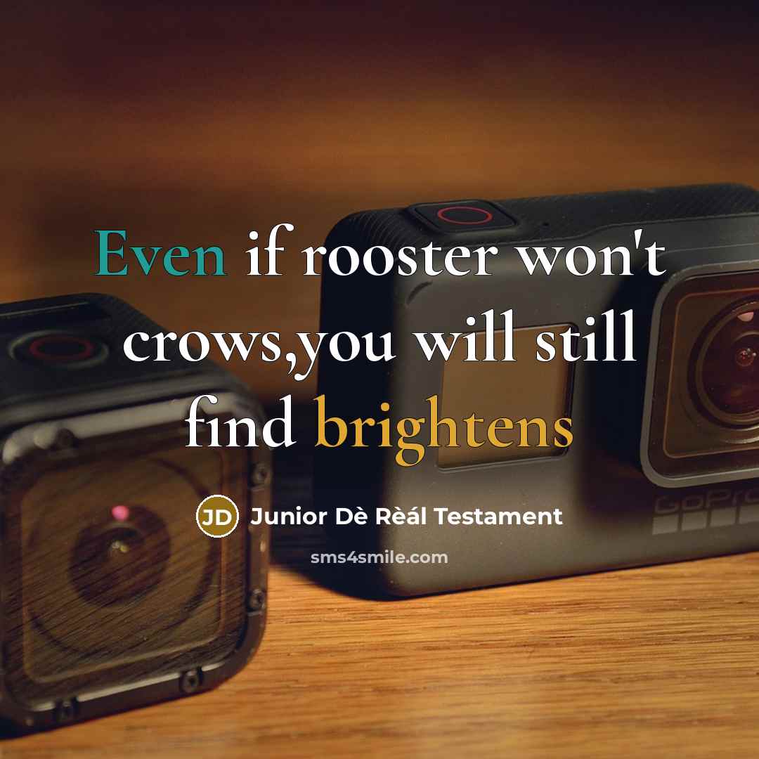 “Even if rooster won't crows,you will still find brightens” quote by Junior Dè Rèál Testament