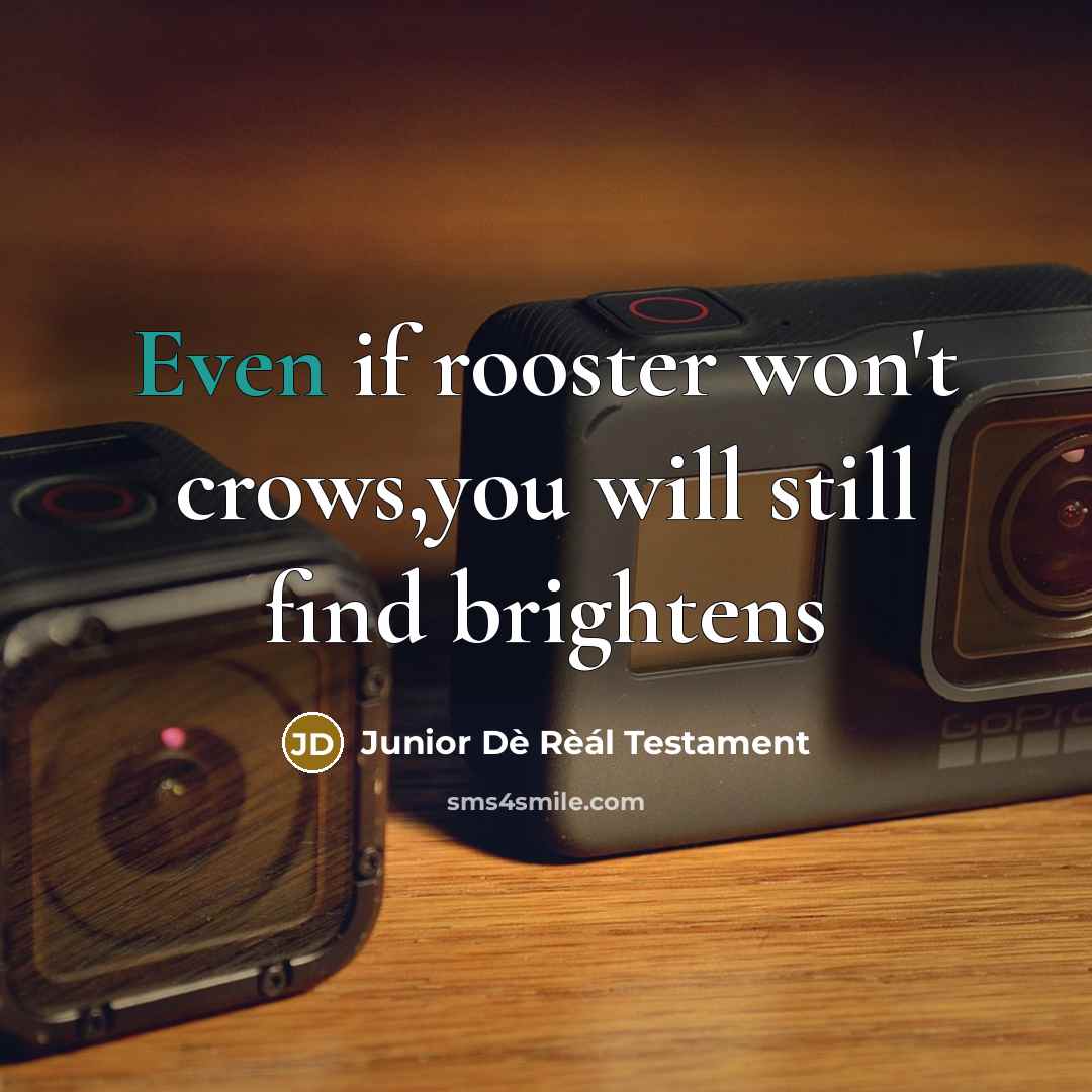 “Even if rooster won't crows,you will still find brightens…” quote by Junior Dè Rèál Testament