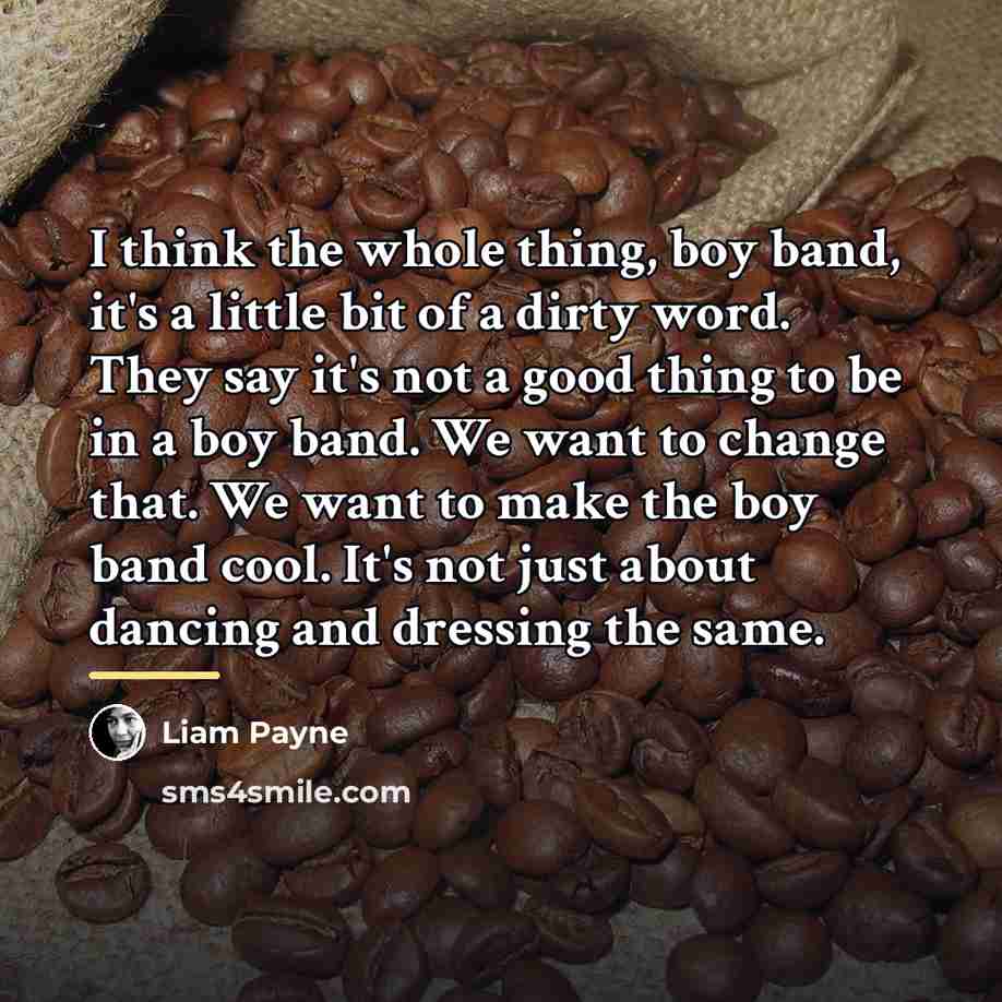 “I think the whole thing, boy band, it's a little…” quote by Liam Payne