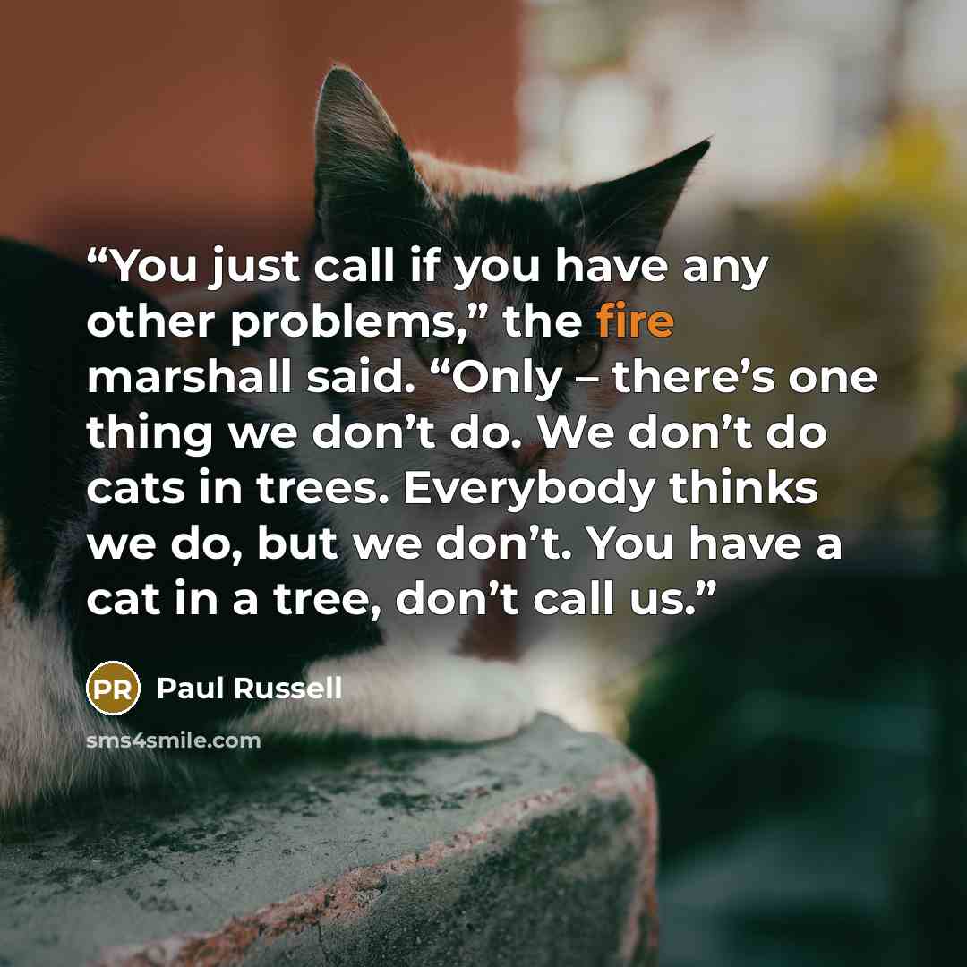 “You just call if you have any other problems,” the fire marshall said. “Only – there’s one thing we don’t do. We don’t do cats in trees. Everybody thinks we do, but we don’t. You have a cat in a tree, don’t call us.” quote by Paul Russell