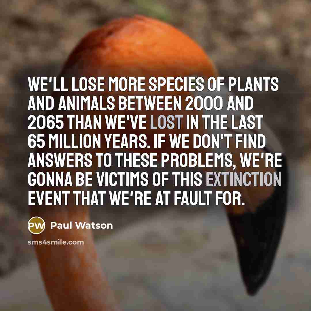 “We'll lose more species of plants and animals between 2000…” quote by Paul Watson
