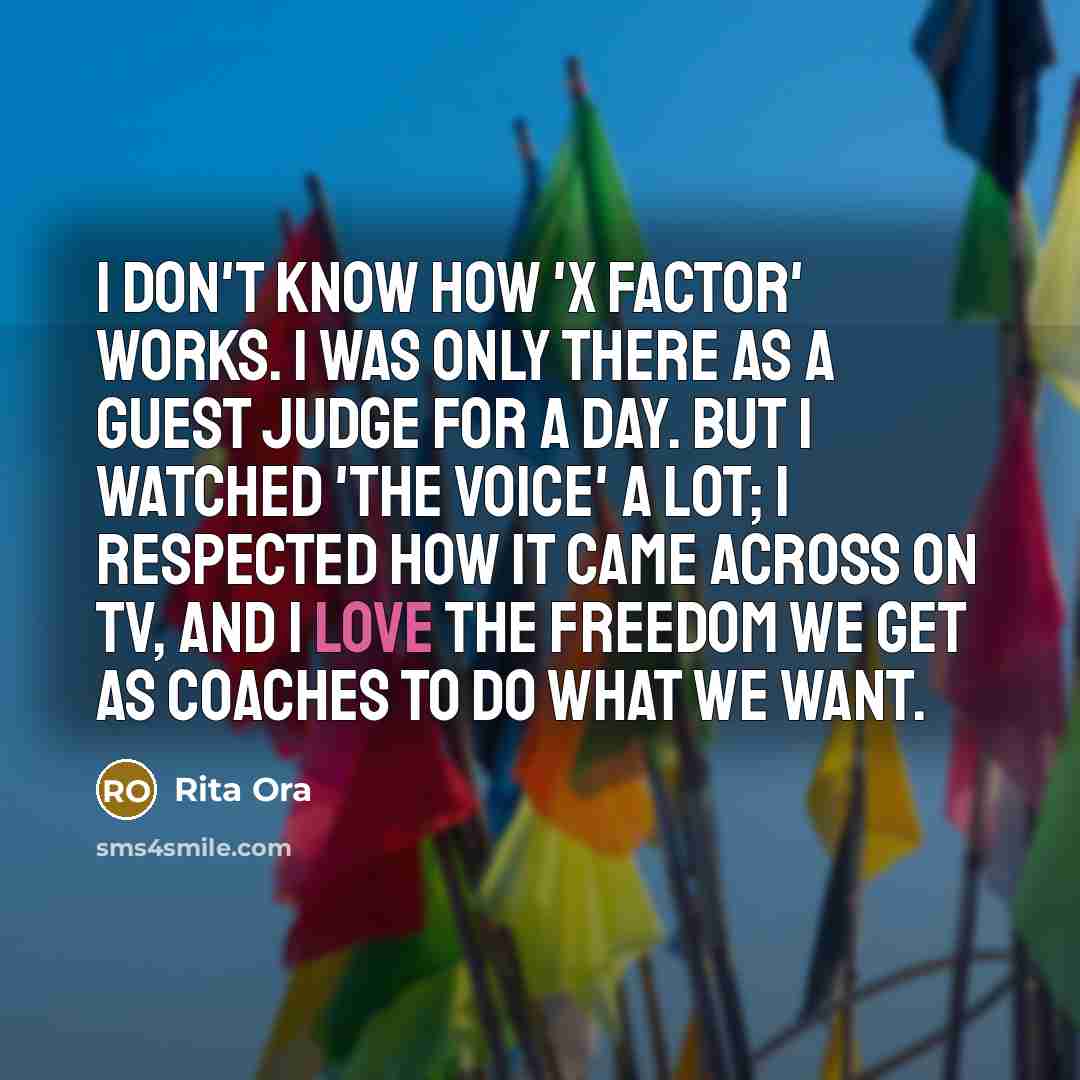 “I don't know how 'X Factor' works. I was only…” quote by Rita Ora