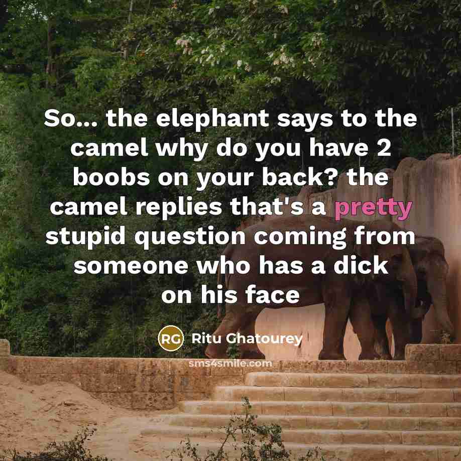 “So... the elephant says to the camel why do you…” quote by Ritu Ghatourey