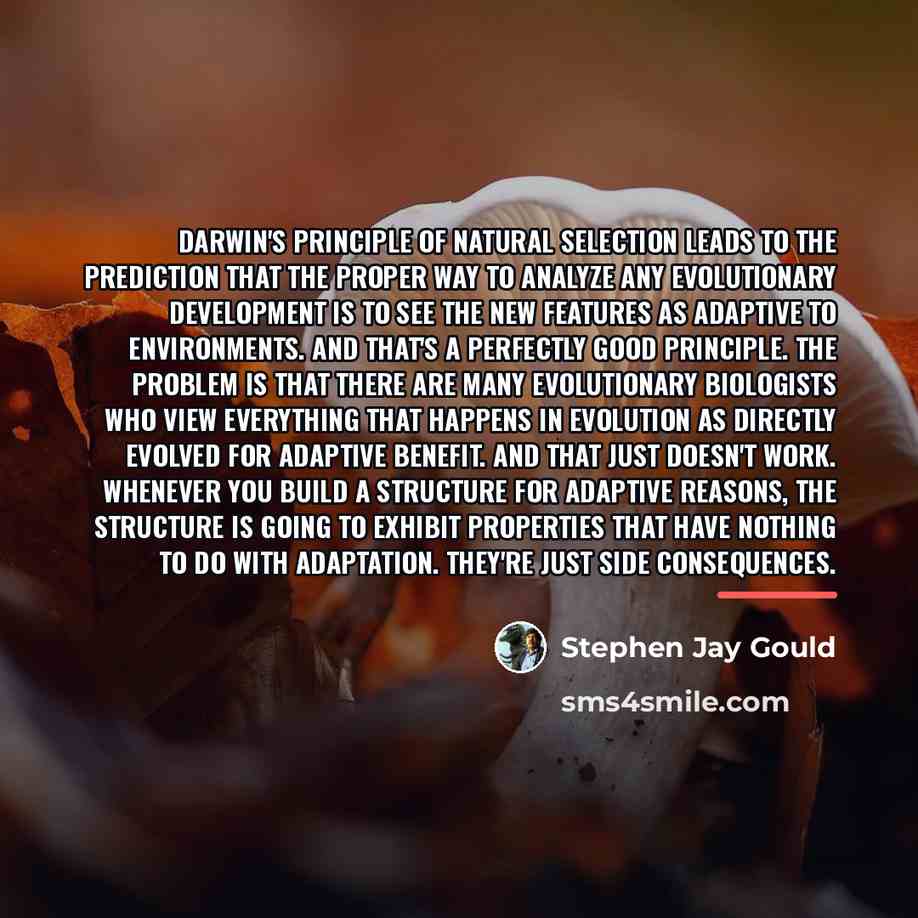 “Darwin's principle of natural selection leads to the prediction that…” quote by Stephen Jay Gould