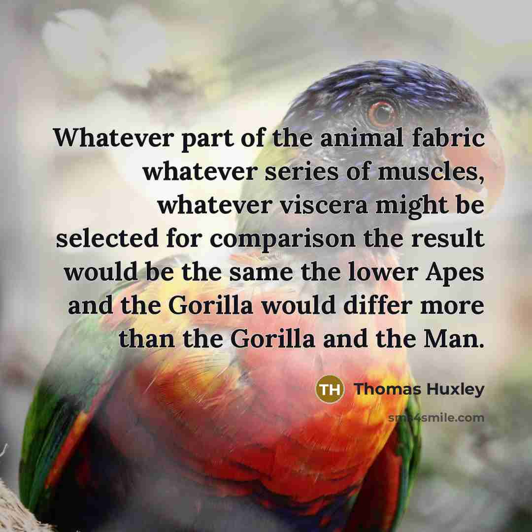 “Whatever part of the animal fabric whatever series of muscles,…” quote by Thomas Huxley