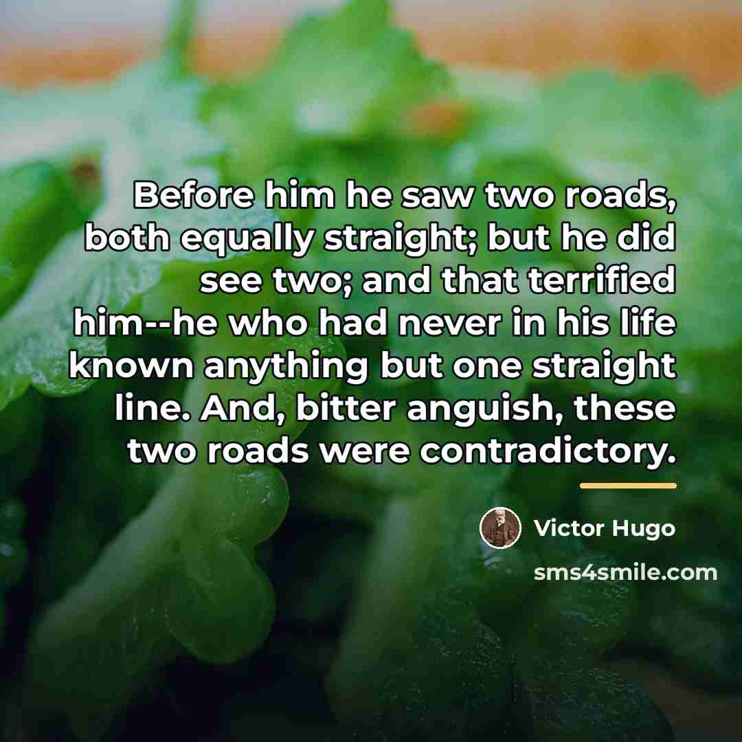 “Before him he saw two roads, both equally straight; but…” quote by Victor Hugo