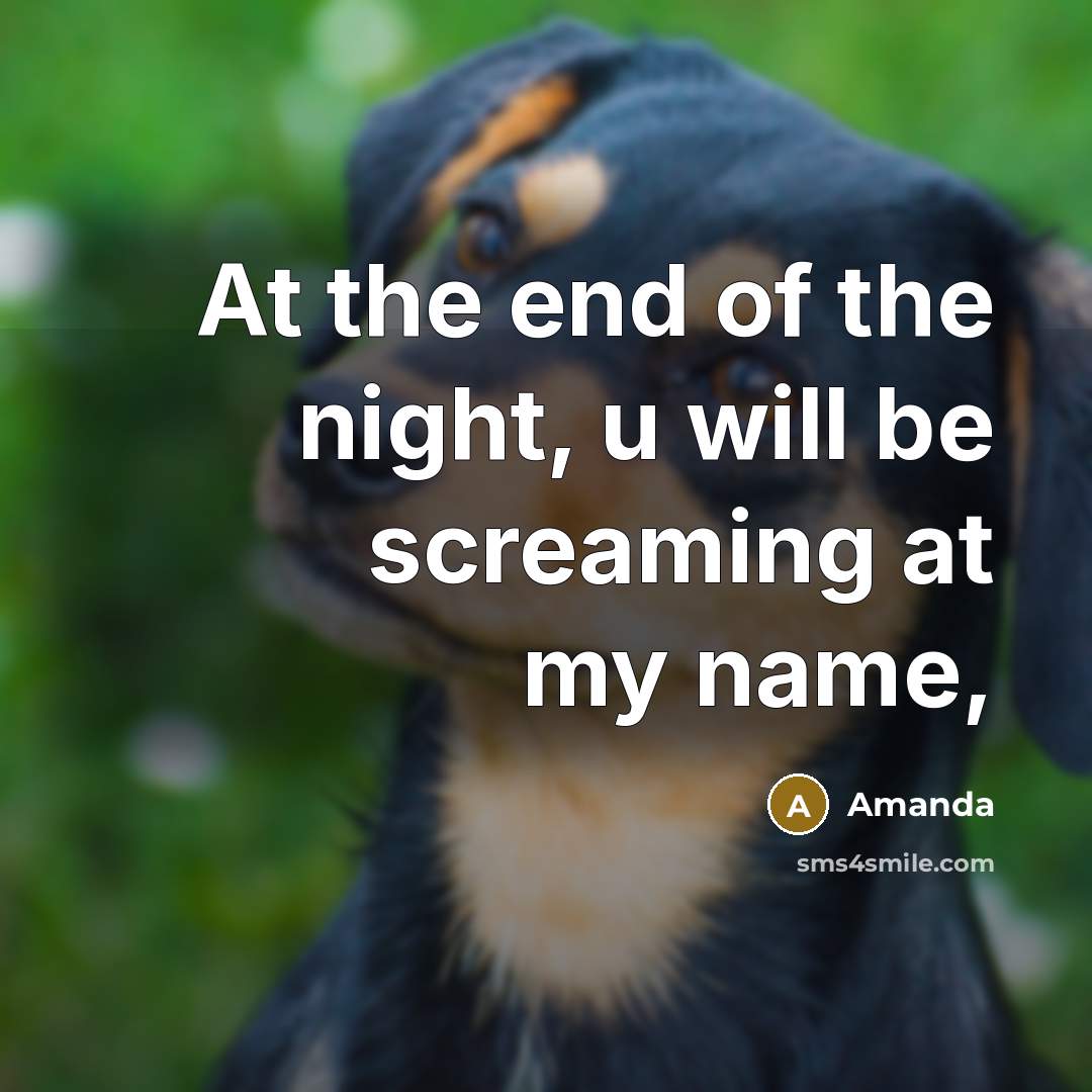 “At the end of the night, u will be screaming…” quote by Amanda