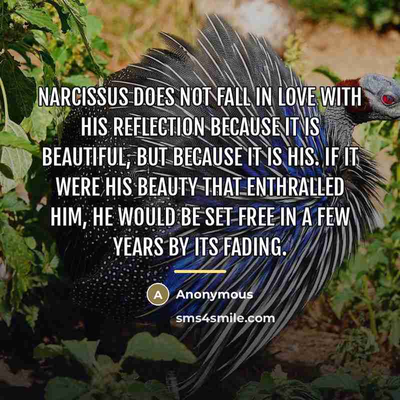 “Narcissus does not fall in love with his reflection because…” quote by Anonymous