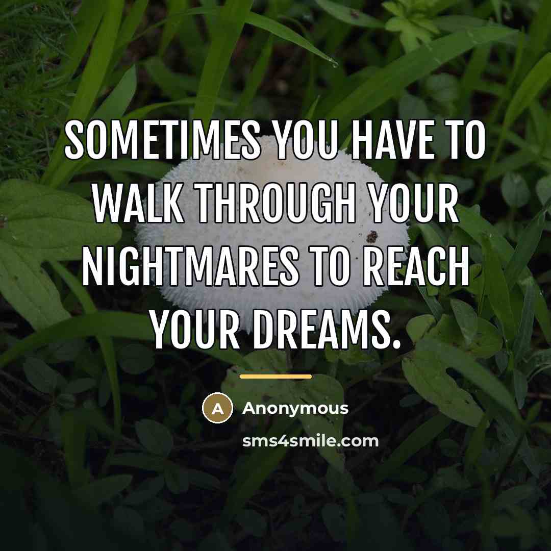 “Sometimes you have to walk through your nightmares to reach…” quote by Anonymous