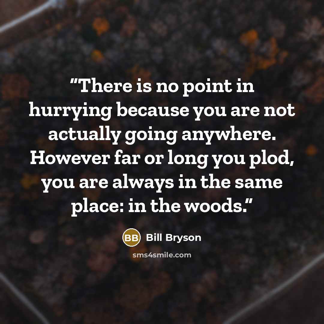 “There is no point in hurrying because you are not actually going anywhere. However far or long you plod, you are always in the same place: in the woods.” quote by Bill Bryson