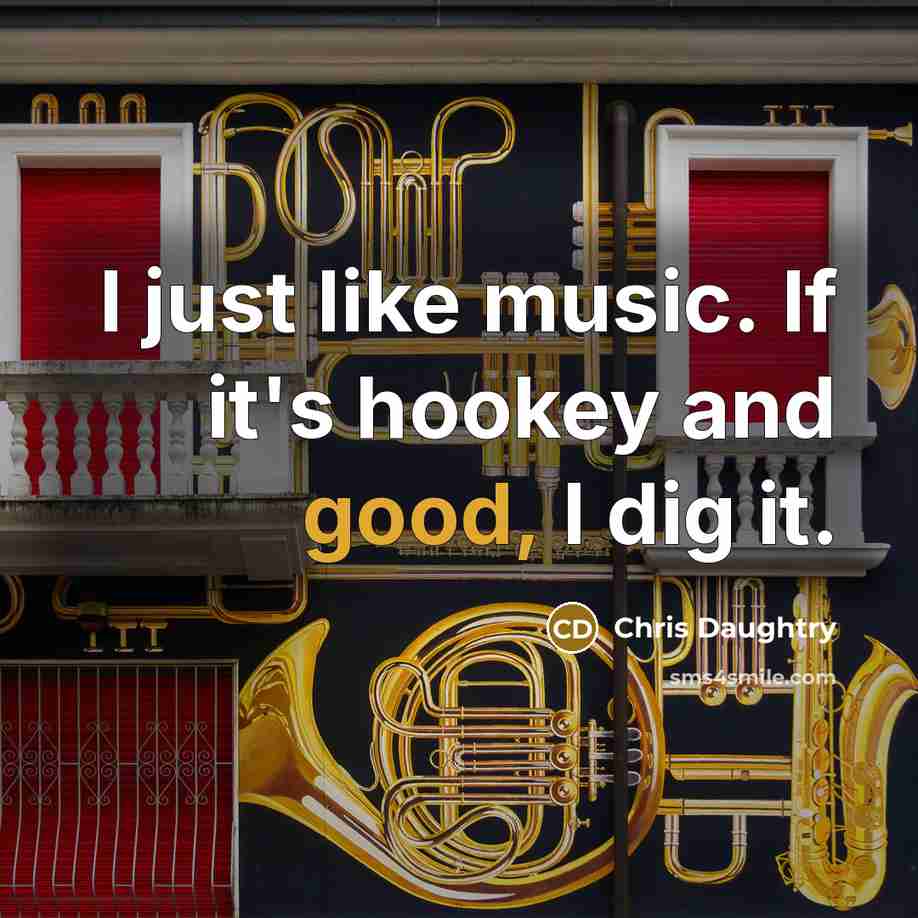 “I just like music. If it's hookey and good, I dig it.” quote by Chris Daughtry