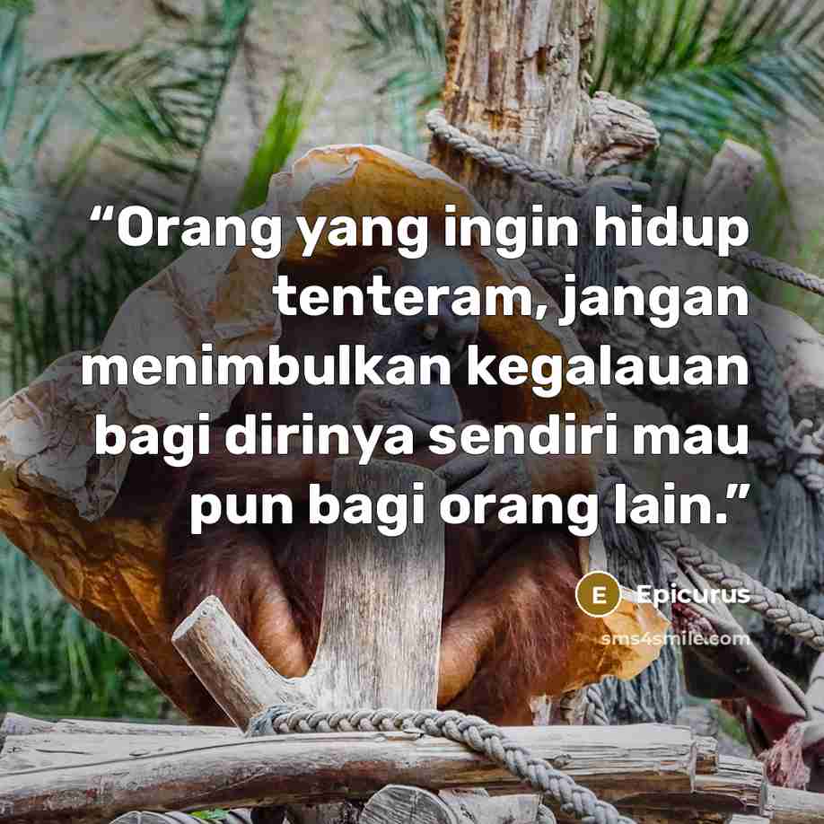 “Orang yang ingin hidup tenteram, jangan menimbulkan kegalauan bagi dirinya sendiri mau pun bagi orang lain.” quote by Epicurus