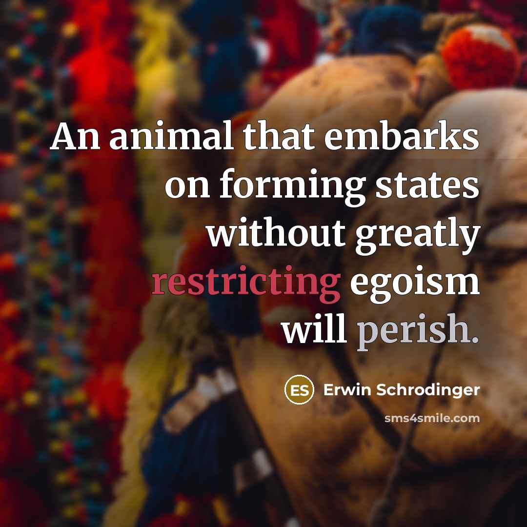 “An animal that embarks on forming states without greatly restricting…” quote by Erwin Schrodinger