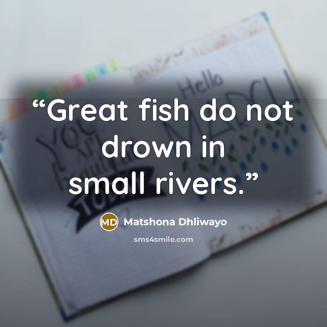 “Great fish do not drown in small rivers.” quote by Matshona Dhliwayo