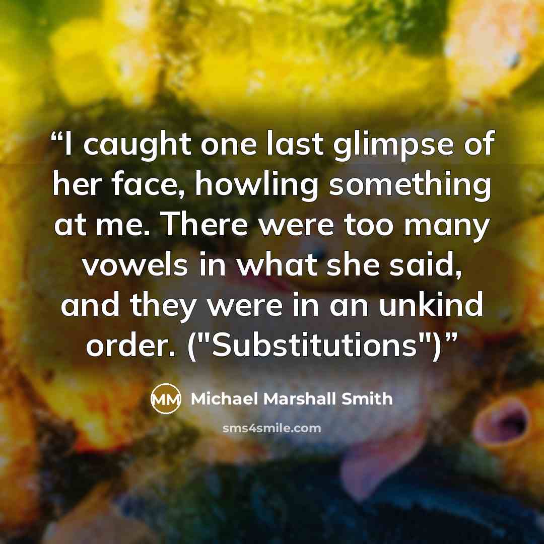 “I caught one last glimpse of her face, howling something at me. There were too many vowels in what she said, and they were in an unkind order. ("Substitutions")” quote by Michael Marshall Smith