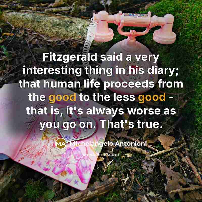 “Fitzgerald said a very interesting thing in his diary; that…” quote by Michelangelo Antonioni