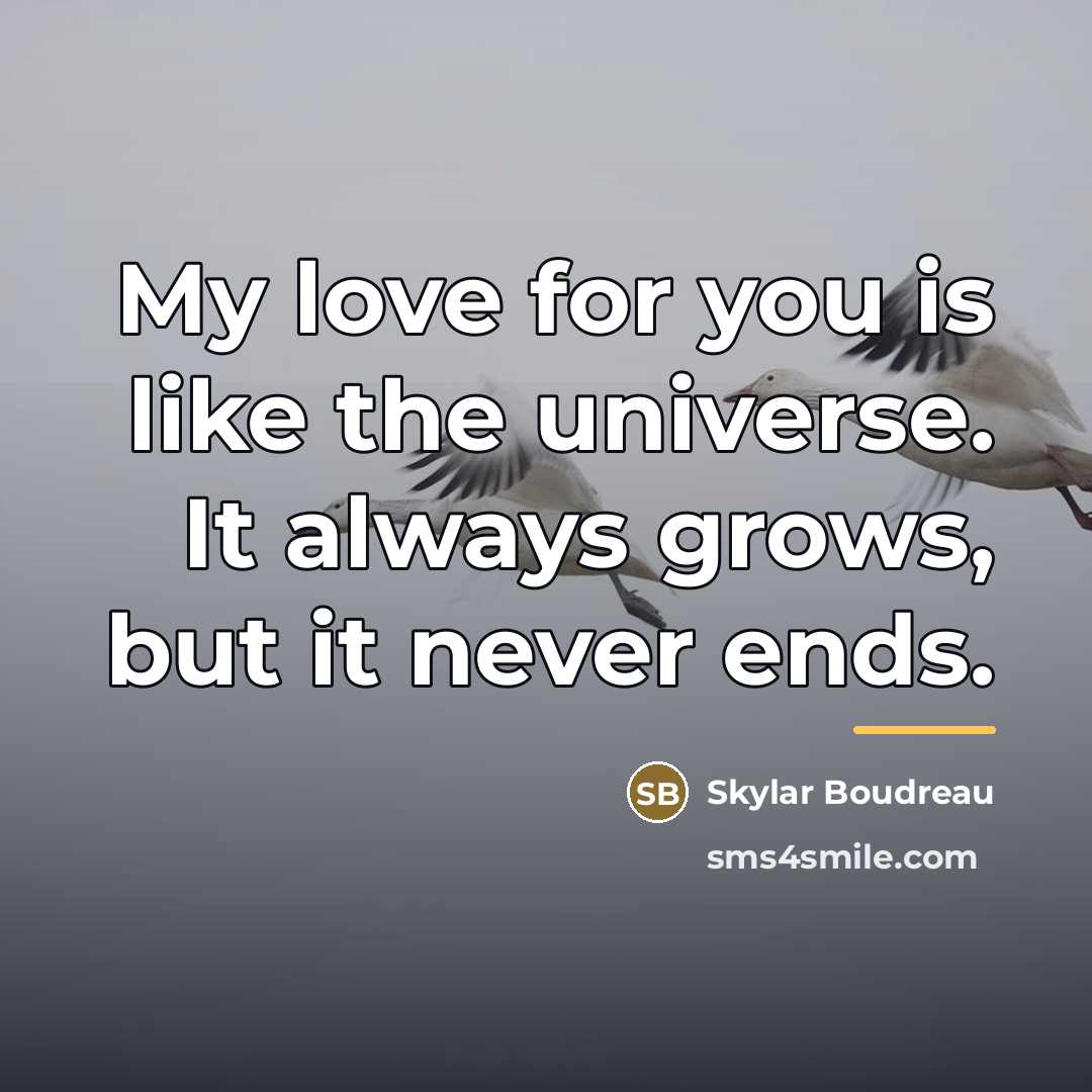 “My love for you is like the universe. It always…” quote by Skylar Boudreau