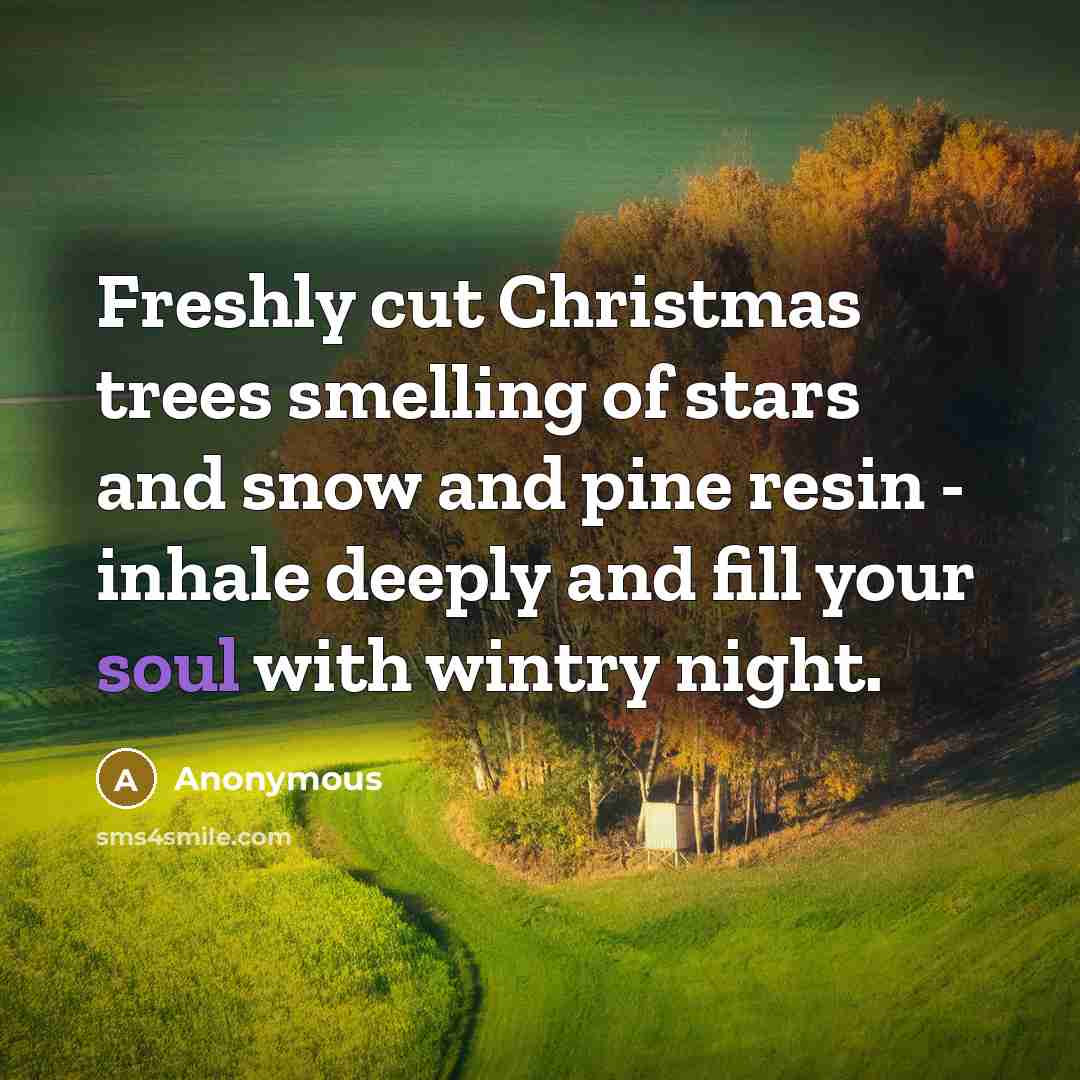 “Freshly cut Christmas trees smelling of stars and snow and…” quote by Anonymous