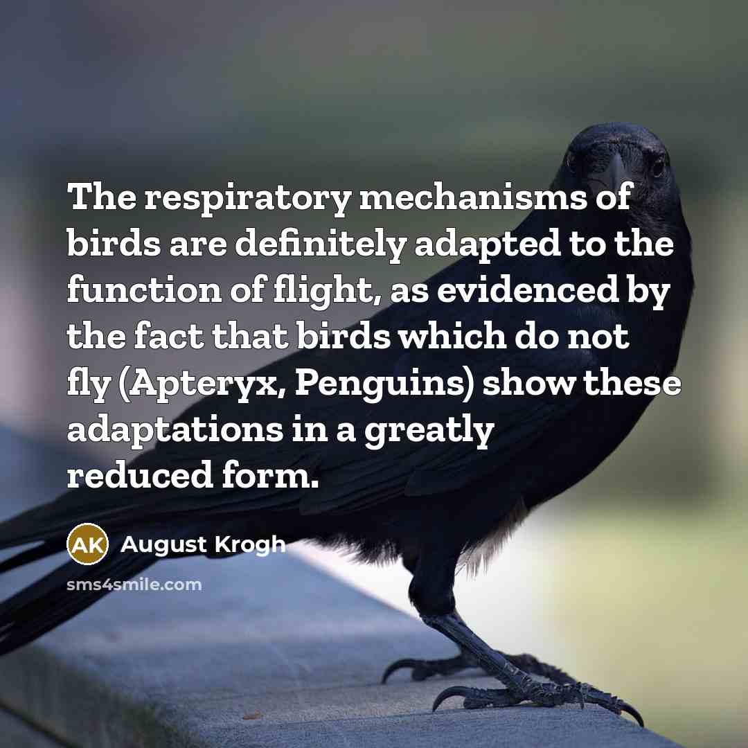 “The respiratory mechanisms of birds are definitely adapted to the…” quote by August Krogh