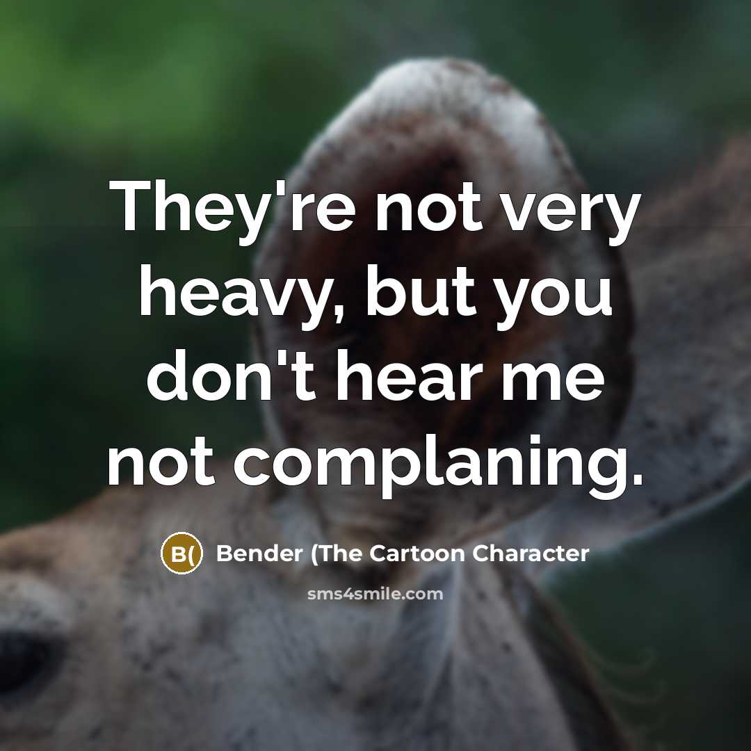 “They're not very heavy, but you don't hear me not…” quote by Bender (The Cartoon Character