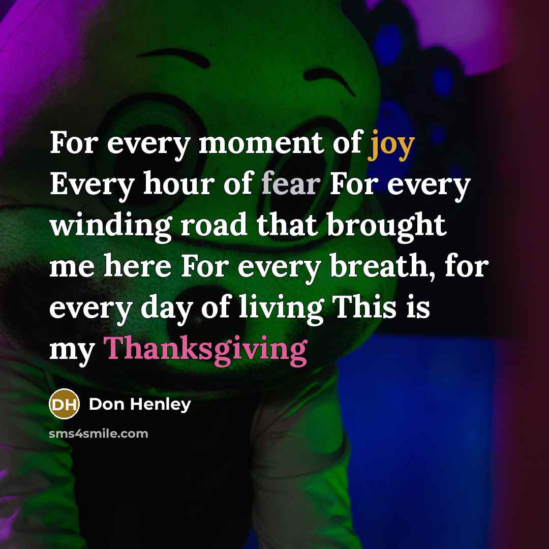 “For every moment of joy Every hour of fear For…” quote by Don Henley
