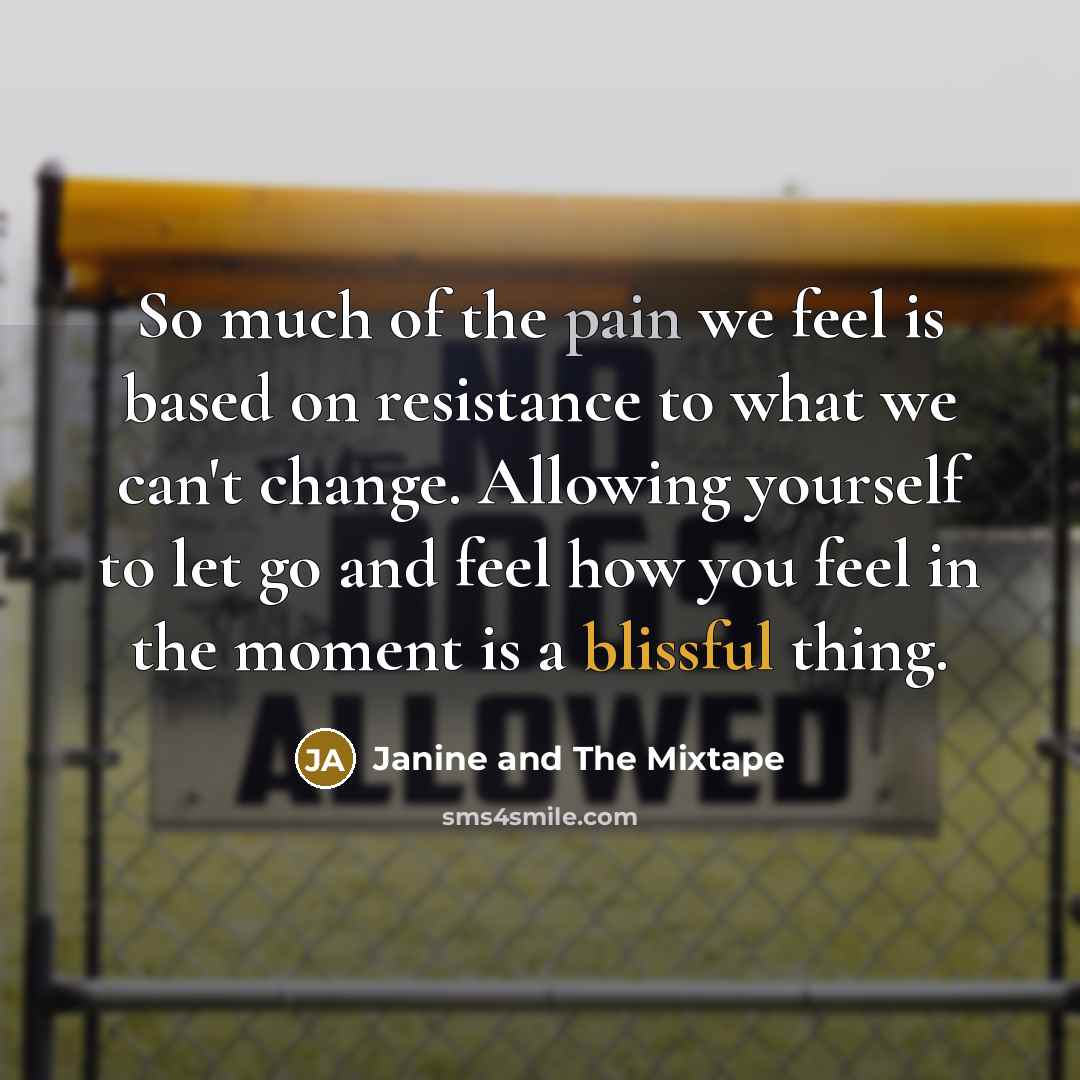 “So much of the pain we feel is based on…” quote by Janine and The Mixtape