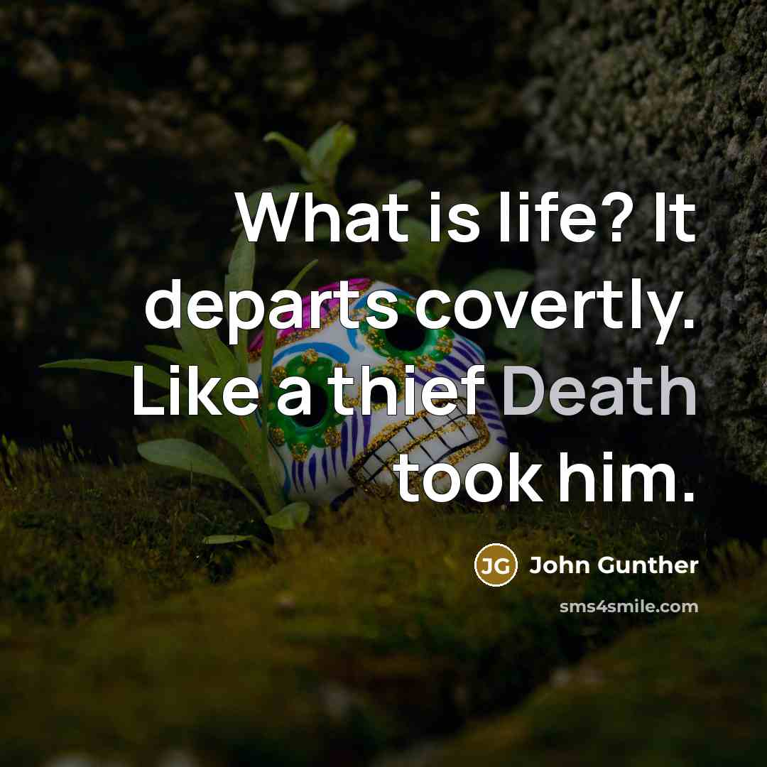 “What is life? It departs covertly. Like a thief Death took him.” quote by John Gunther