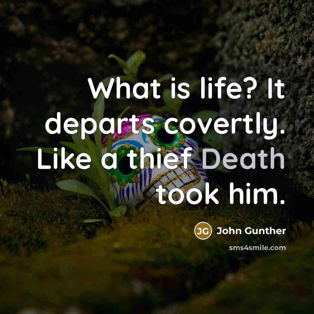 “What is life? It departs covertly. Like a thief Death…” quote by John Gunther