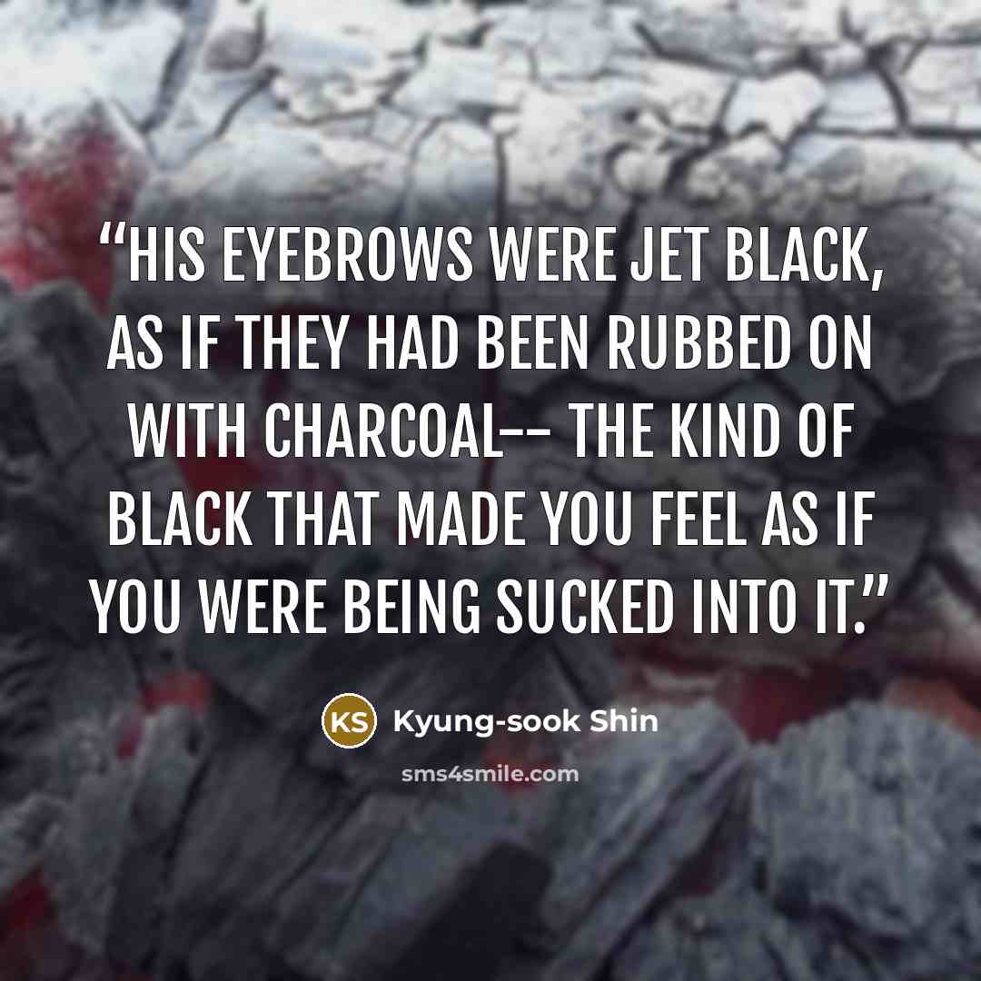 “His eyebrows were jet black, as if they had been rubbed on with charcoal-- the kind of black that made you feel as if you were being sucked into it.” quote by Kyung-sook Shin