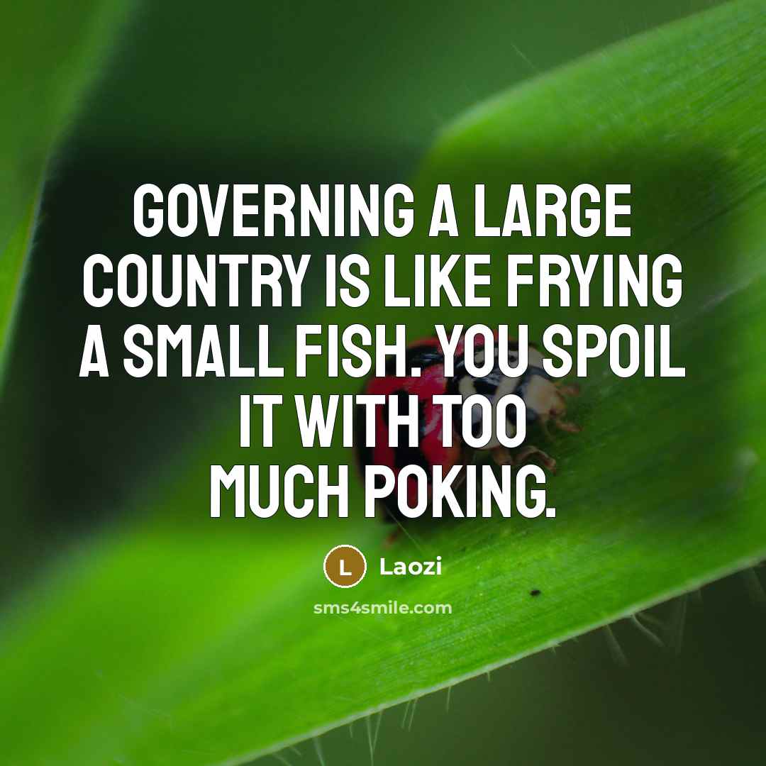 “Governing a large country is like frying a small fish.…” quote by Laozi