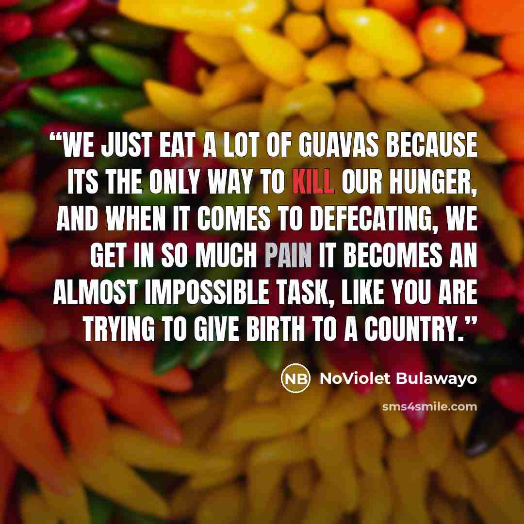 “We just eat a lot of guavas because its the only way to kill our hunger, and when it comes to defecating, we get in so much pain it becomes an almost impossible task, like you are trying to give birth to a country.” quote by NoViolet Bulawayo