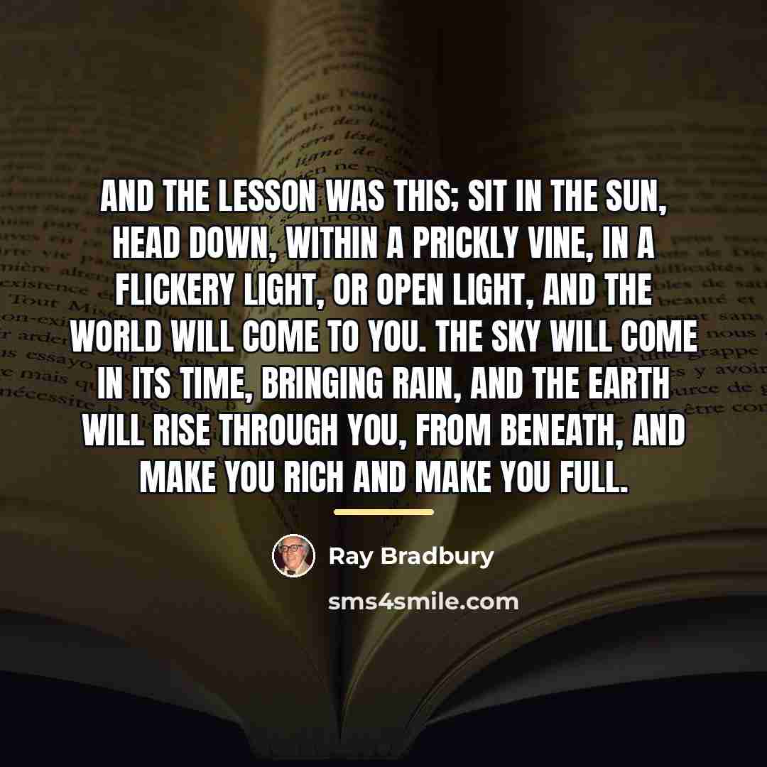 “And the lesson was this; sit in the sun, head…” quote by Ray Bradbury