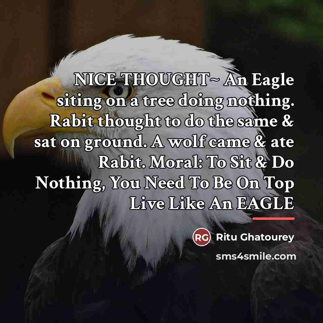 “NICE THOUGHT~ An Eagle siting on a tree doing nothing.…” quote by Ritu Ghatourey