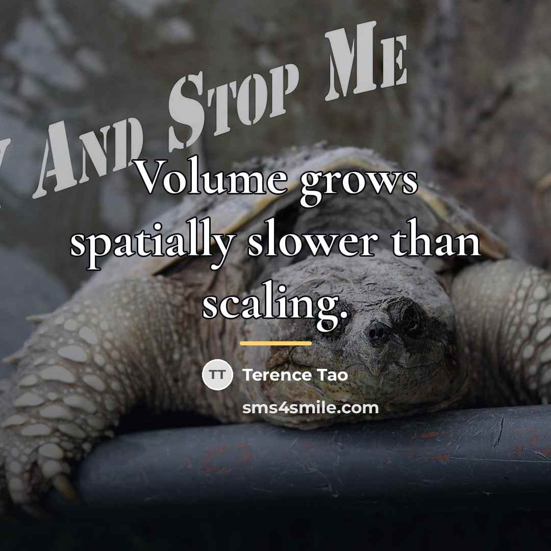 “Volume grows spatially slower than scaling.…” quote by Terence Tao