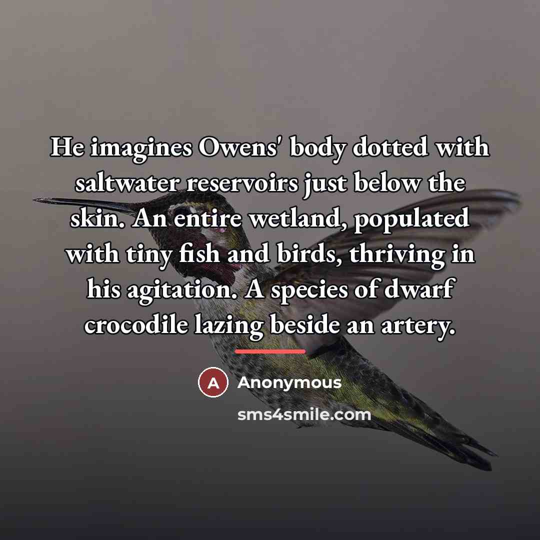 “He imagines Owens' body dotted with saltwater reservoirs just below…” quote by Lisa Lang
