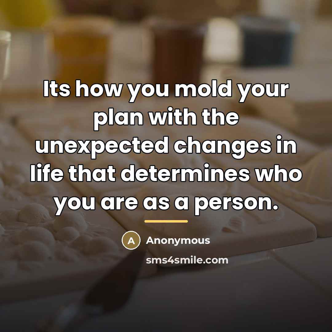 “Its how you mold your plan with the unexpected changes…” quote by Anonymous
