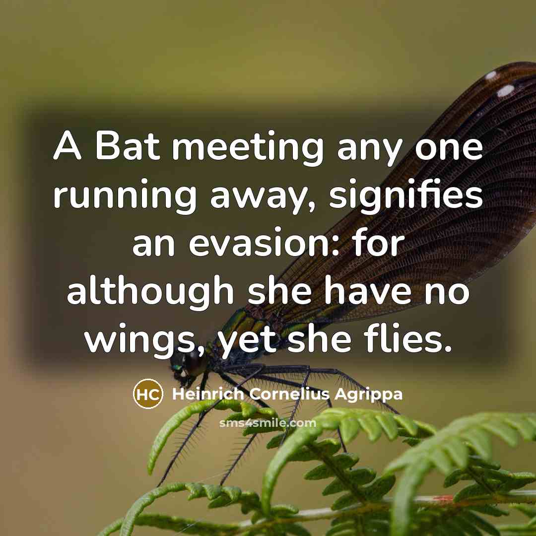 “A Bat meeting any one running away, signifies an evasion:…” quote by Heinrich Cornelius Agrippa