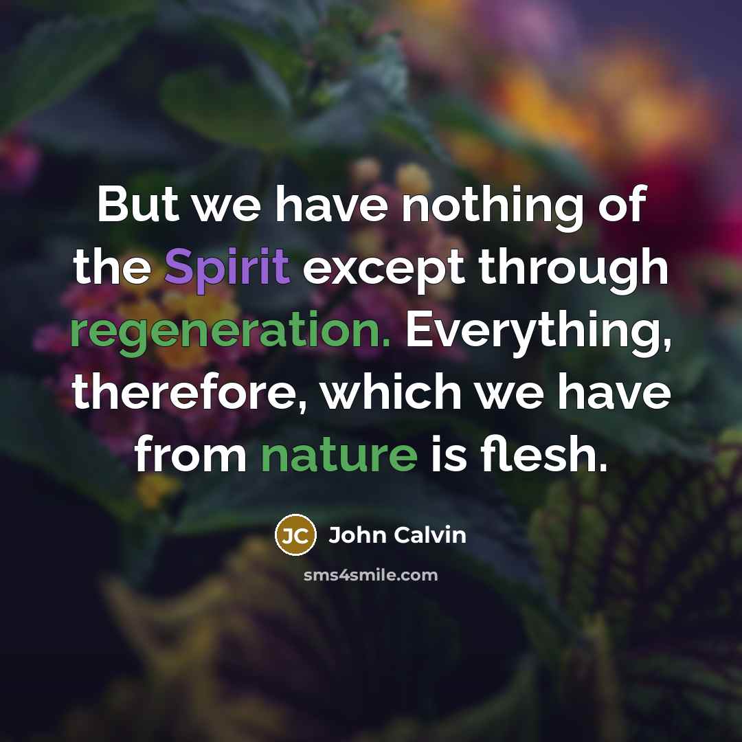 “But we have nothing of the Spirit except through regeneration.…” quote by John Calvin