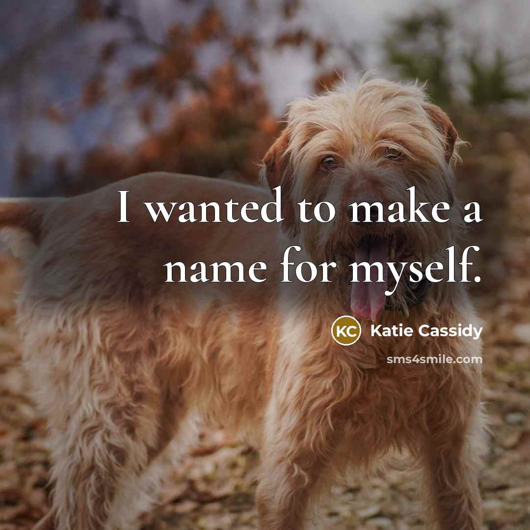 “I wanted to make a name for myself.…” quote by Katie Cassidy
