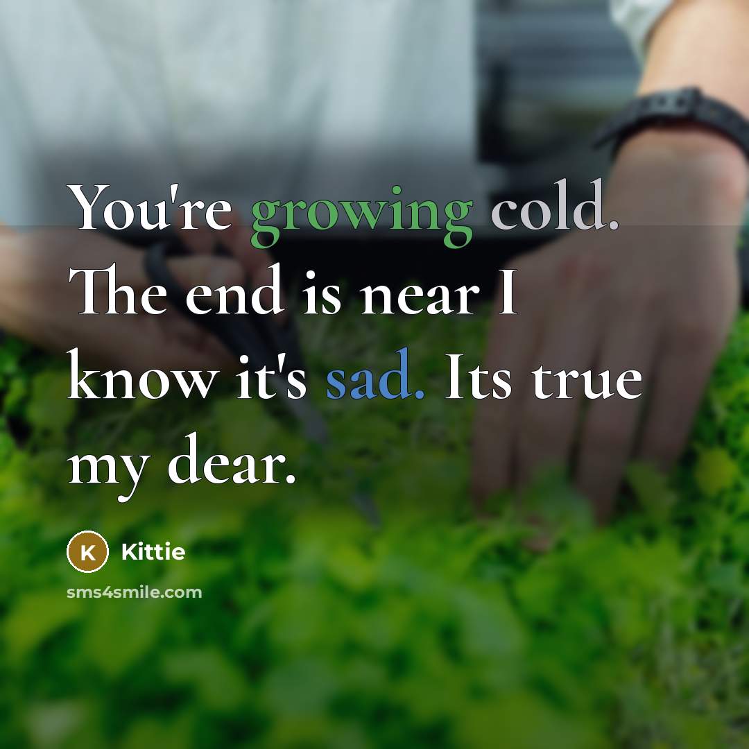 “You're growing cold. The end is near I know it's sad. Its true my dear.” quote by Kittie