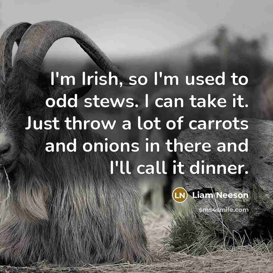 “I'm Irish, so I'm used to odd stews. I can…” quote by Liam Neeson