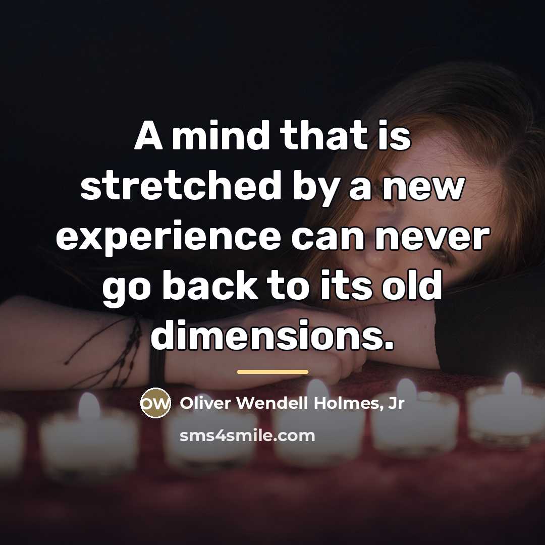 “A mind that is stretched by a new experience can…” quote by Oliver Wendell Holmes, Jr