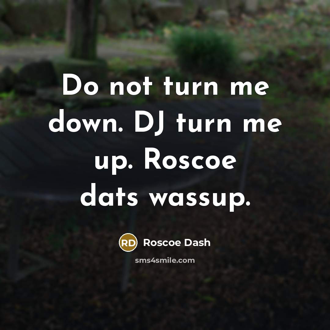 “Do not turn me down. DJ turn me up. Roscoe…” quote by Roscoe Dash