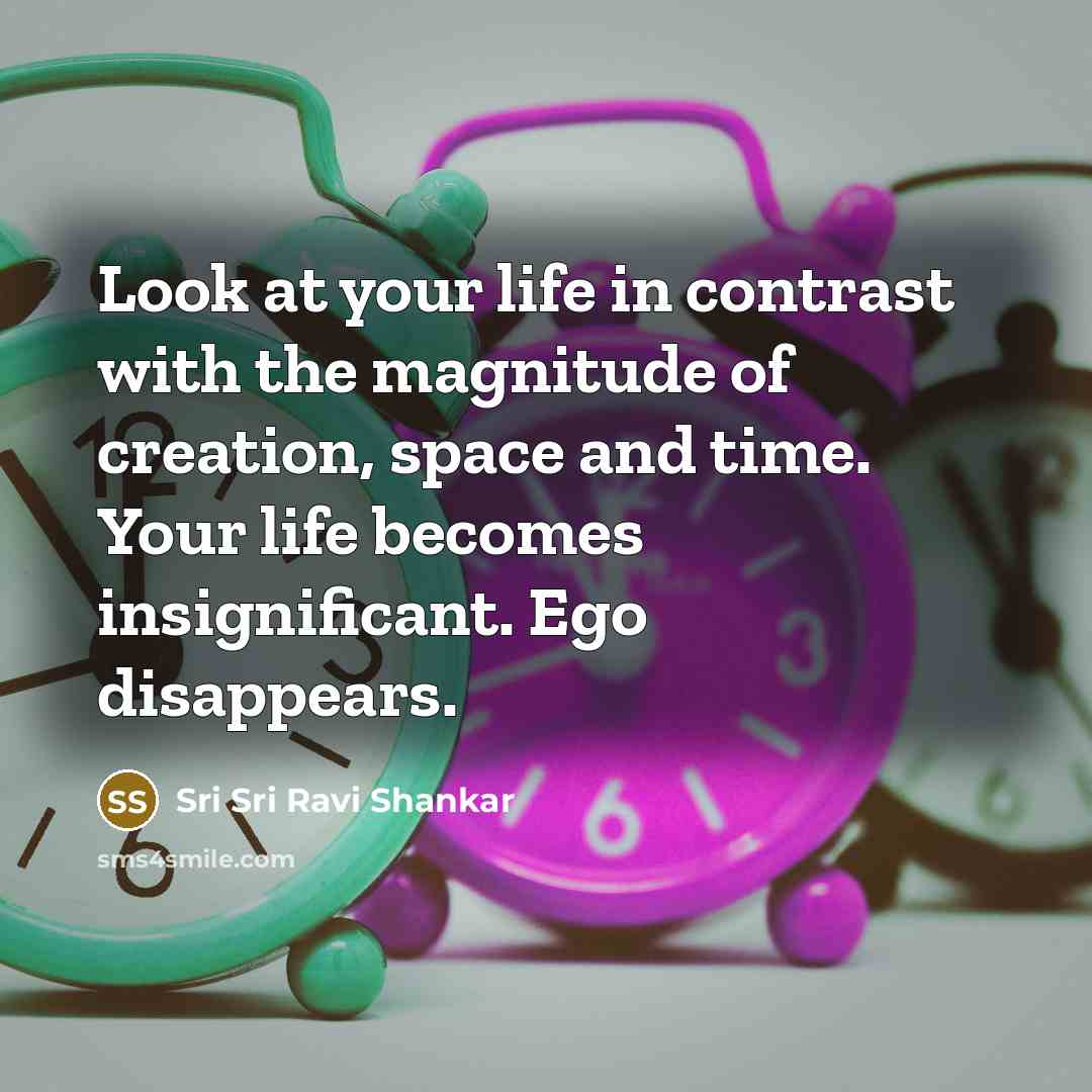 “Look at your life in contrast with the magnitude of…” quote by Sri Sri Ravi Shankar