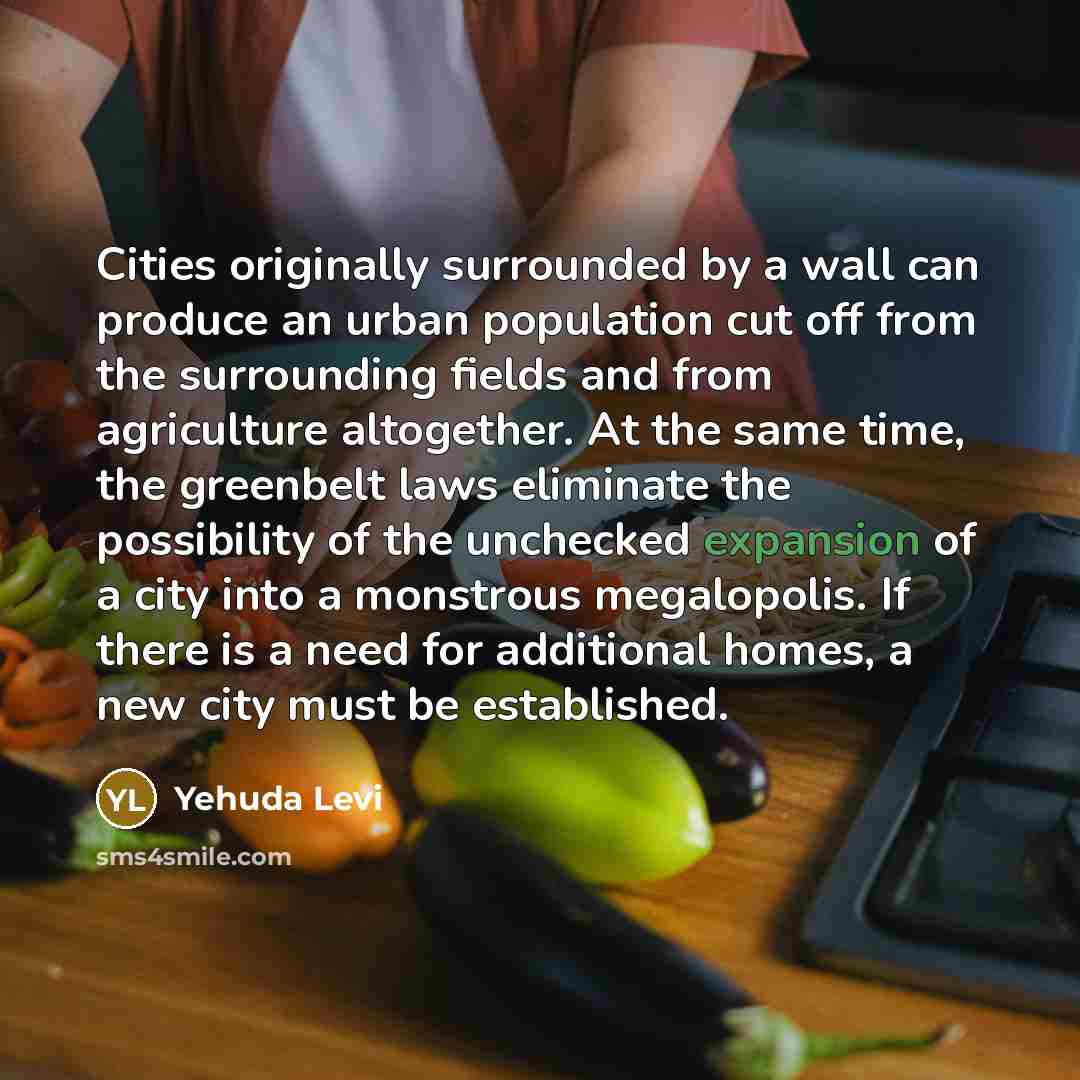 “Cities originally surrounded by a wall can produce an urban…” quote by Yehuda Levi