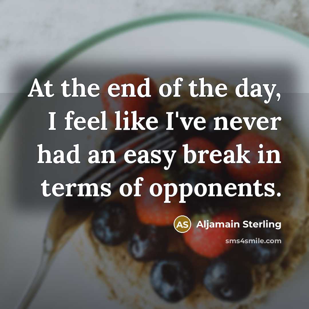 “At the end of the day, I feel like I've…” quote by Aljamain Sterling