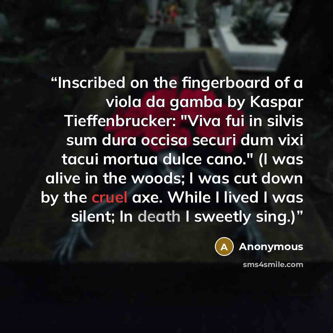 “Inscribed on the fingerboard of a viola da gamba by Kaspar Tieffenbrucker: "Viva fui in silvis sum dura occisa securi dum vixi tacui mortua dulce cano." (I was alive in the woods; I was cut down by the cruel axe. While I lived I was silent; In death I sweetly sing.)” quote by Anonymous