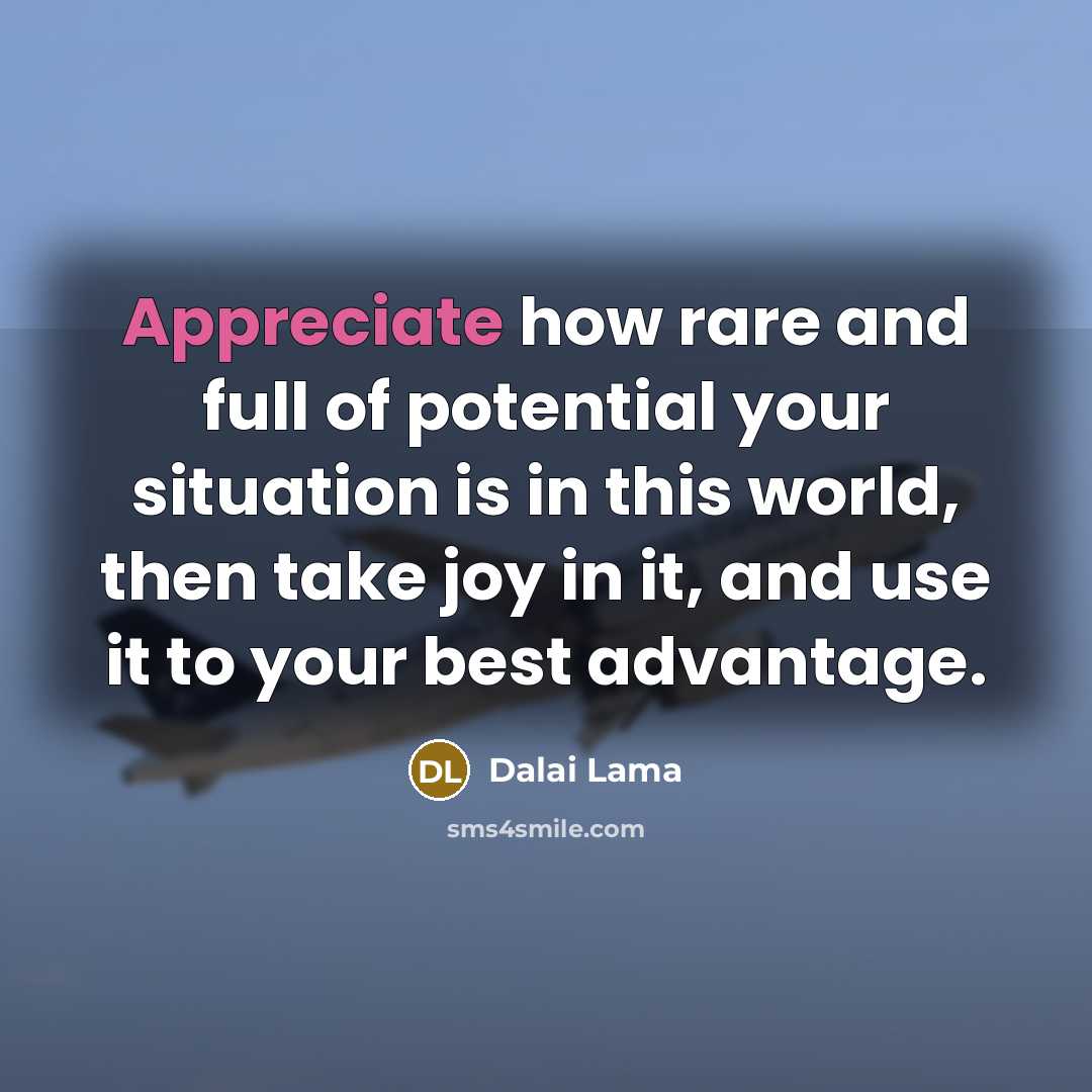 “Appreciate how rare and full of potential your situation is…” quote by Dalai Lama
